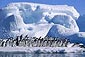 Cruceros al Ártico por Noruega con la agencia de viajes Señores Pasajeros
