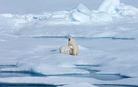 Viajes al Ártico alrededor de las islas Svalbard - Spitsbergen desde Barcelona en crucero de lujo